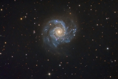 m74_30X720_2_settembre_big