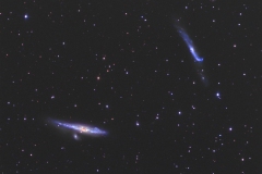 ngc4631_20210429newton130