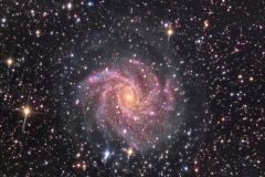 ngc6946_20170622-24_85x300_c9