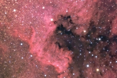 ngc7000